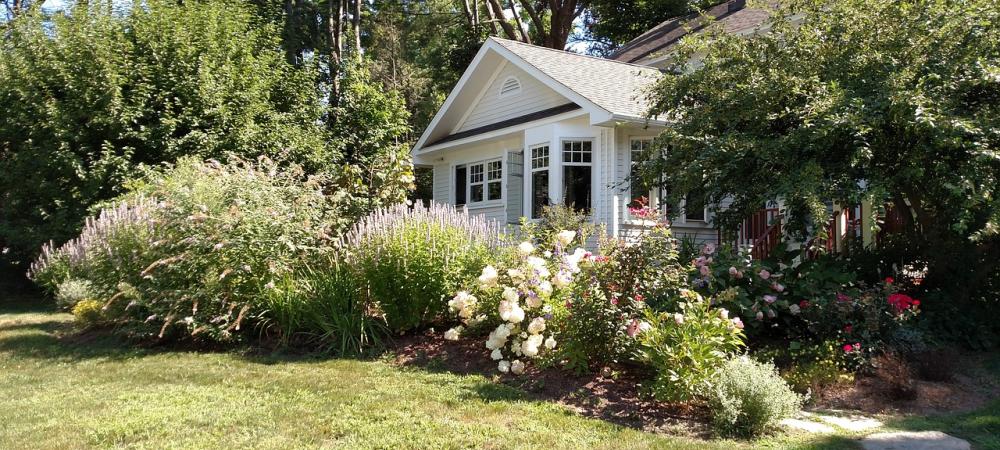 A house with a garden of mosquito-repelling plants