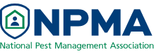 A green background with the word npns written in blue.