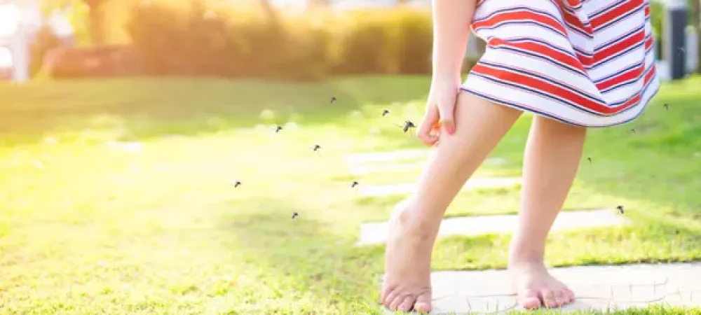 A child walking on the grass with a bunch of flies flying around.